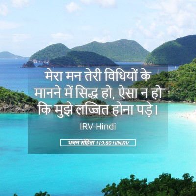 Picture 05 - भजन संहिता 119:80 HINIRV - मेरा मन तेरी - Bible Verse Picture