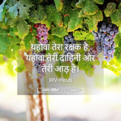 Picture 05 - भजन संहिता 121:5 HINIRV - यहोवा तेरा रक्षक - Bible Verse Picture