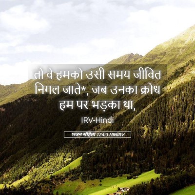 Picture 05 - भजन संहिता 124:3 HINIRV - तो वे हमको उसी समय - Bible Verse Picture