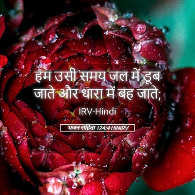 Picture 05 - भजन संहिता 124:4 HINIRV - हम उसी समय जल में - Bible Verse Picture