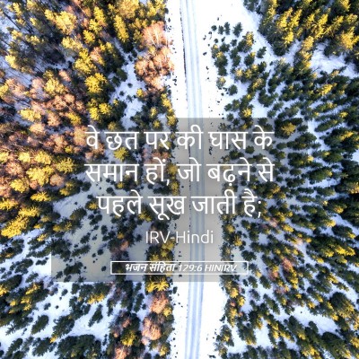 Picture 05 - भजन संहिता 129:6 HINIRV - वे छत पर की घास के - Bible Verse Picture