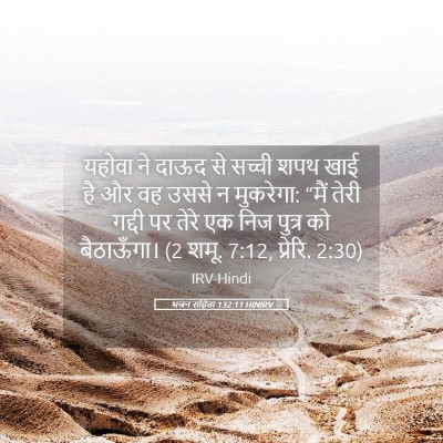 Picture 05 - भजन संहिता 132:11 HINIRV - यहोवा ने दाऊद से - Bible Verse Picture