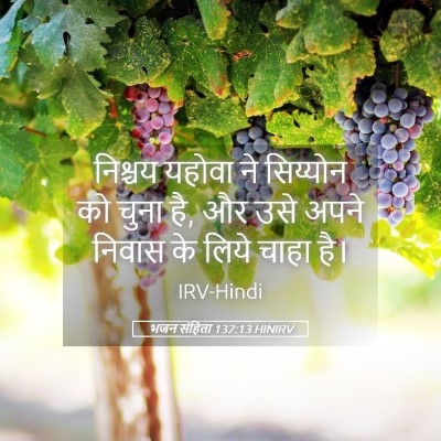 Picture 05 - भजन संहिता 132:13 HINIRV - निश्चय यहोवा ने - Bible Verse Picture