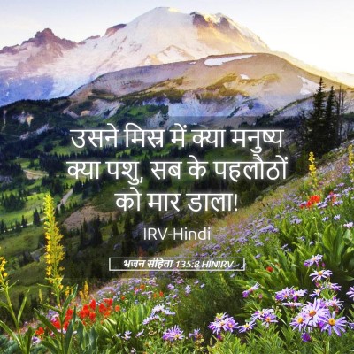 Picture 05 - भजन संहिता 135:8 HINIRV - उसने मिस्र में - Bible Verse Picture