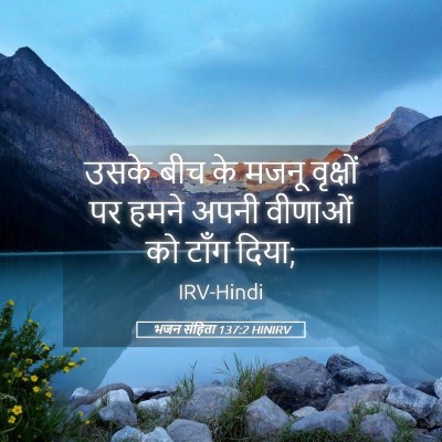 Picture 05 - भजन संहिता 137:2 HINIRV - उसके बीच के मजनू - Bible Verse Picture