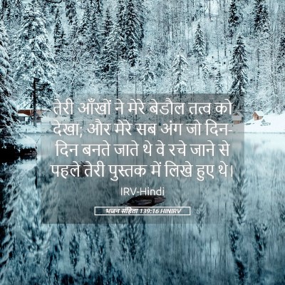 Picture 05 - भजन संहिता 139:16 HINIRV - तेरी आँखों ने मेरे - Bible Verse Picture