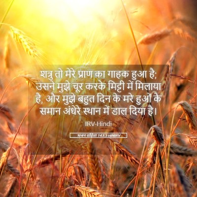 Picture 05 - भजन संहिता 143:3 HINIRV - शत्रु तो मेरे - Bible Verse Picture