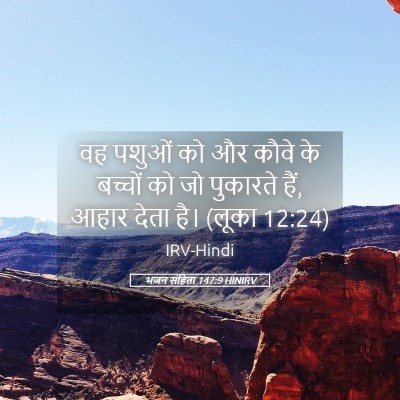 Picture 05 - भजन संहिता 147:9 HINIRV - वह पशुओं को और कौवे - Bible Verse Picture
