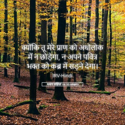 Picture 05 - भजन संहिता 16:10 HINIRV - क्योंकि तू मेरे - Bible Verse Picture