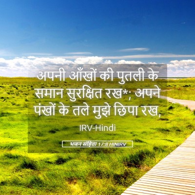 Picture 05 - भजन संहिता 17:8 HINIRV - अपनी आँखों की - Bible Verse Picture