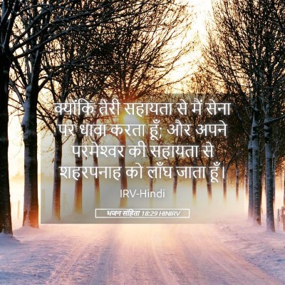 Picture 05 - भजन संहिता 18:29 HINIRV - क्योंकि तेरी - Bible Verse Picture