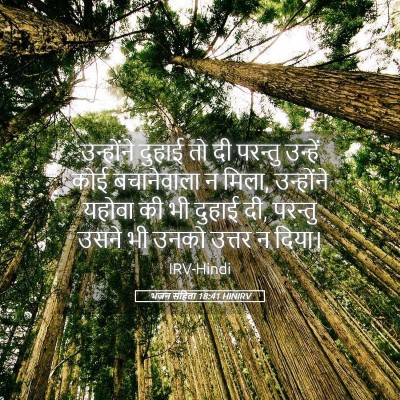 Picture 05 - भजन संहिता 18:41 HINIRV - उन्होंने दुहाई तो - Bible Verse Picture