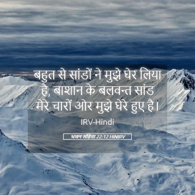 Picture 05 - भजन संहिता 22:12 HINIRV - बहुत से सांडों ने - Bible Verse Picture