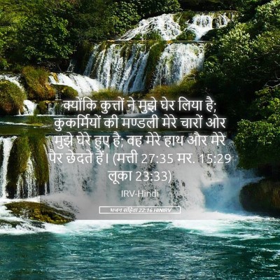 Picture 05 - भजन संहिता 22:16 HINIRV - क्योंकि कुत्तों - Bible Verse Picture