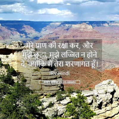 Picture 05 - भजन संहिता 25:20 HINIRV - मेरे प्राण की - Bible Verse Picture