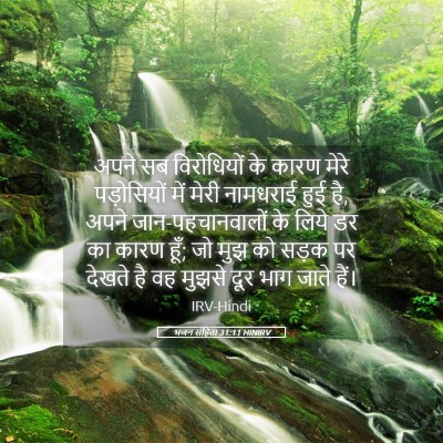 Picture 05 - भजन संहिता 31:11 HINIRV - अपने सब विरोधियों - Bible Verse Picture