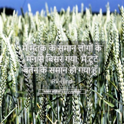 Picture 05 - भजन संहिता 31:12 HINIRV - मैं मृतक के समान - Bible Verse Picture