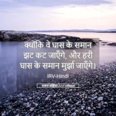 Picture 05 - भजन संहिता 37:2 HINIRV - क्योंकि वे घास के - Bible Verse Picture
