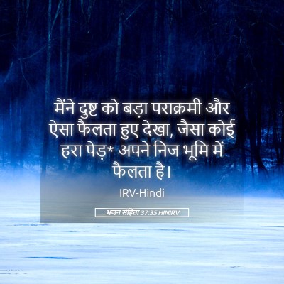 Picture 05 - भजन संहिता 37:35 HINIRV - मैंने दुष्ट को - Bible Verse Picture