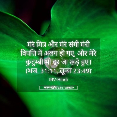 Picture 05 - भजन संहिता 38:11 HINIRV - मेरे मित्र और मेरे - Bible Verse Picture