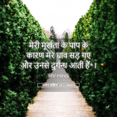 Picture 05 - भजन संहिता 38:5 HINIRV - मेरी मूर्खता के - Bible Verse Picture