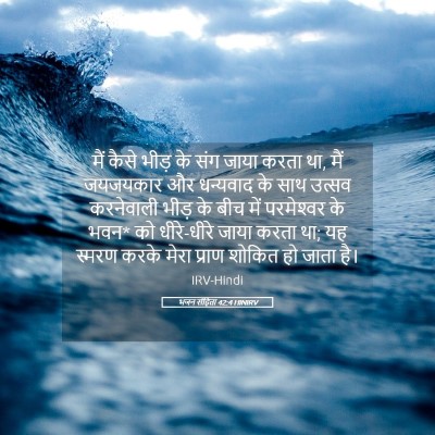 Picture 05 - भजन संहिता 42:4 HINIRV - मैं कैसे भीड़ के - Bible Verse Picture