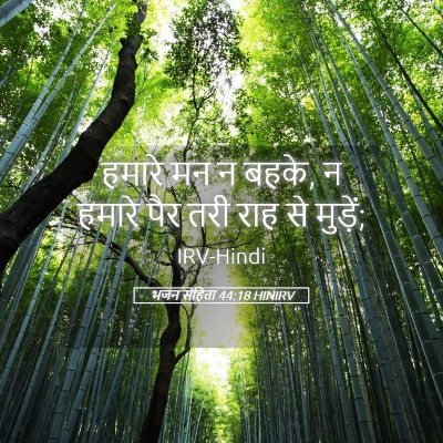Picture 05 - भजन संहिता 44:18 HINIRV - हमारे मन न बहके, न - Bible Verse Picture