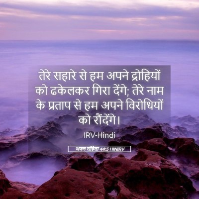 Picture 05 - भजन संहिता 44:5 HINIRV - तेरे सहारे से हम - Bible Verse Picture