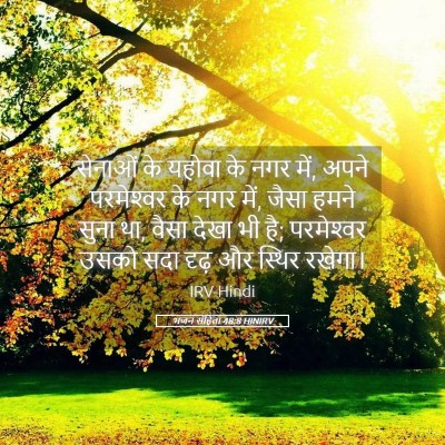 Picture 05 - भजन संहिता 48:8 HINIRV - सेनाओं के यहोवा के - Bible Verse Picture