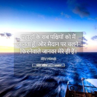 Picture 05 - भजन संहिता 50:11 HINIRV - पहाड़ों के सब - Bible Verse Picture