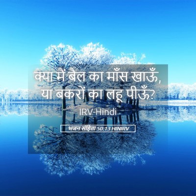 Picture 05 - भजन संहिता 50:13 HINIRV - क्या मैं बैल का - Bible Verse Picture