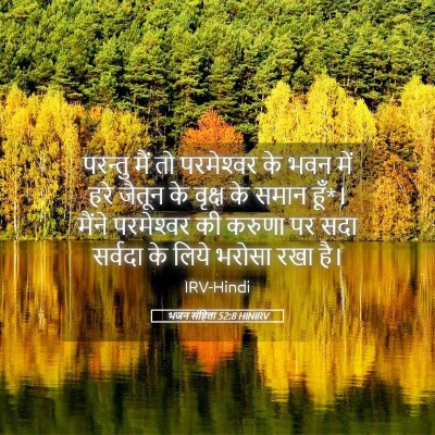 Picture 05 - भजन संहिता 52:8 HINIRV - परन्तु मैं तो - Bible Verse Picture