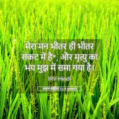Picture 05 - भजन संहिता 55:4 HINIRV - मेरा मन भीतर ही - Bible Verse Picture