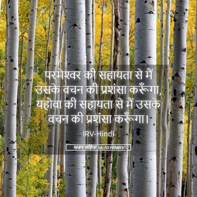 Picture 05 - भजन संहिता 56:10 HINIRV - परमेश्‍वर की - Bible Verse Picture