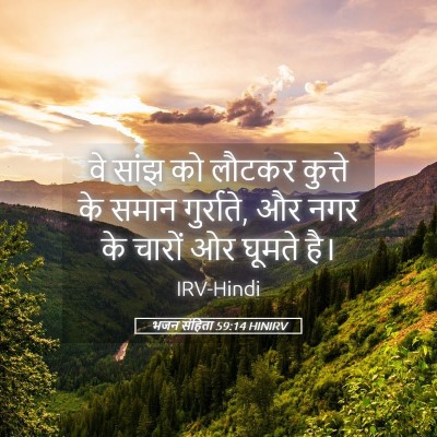 Picture 05 - भजन संहिता 59:14 HINIRV - वे सांझ को लौटकर - Bible Verse Picture