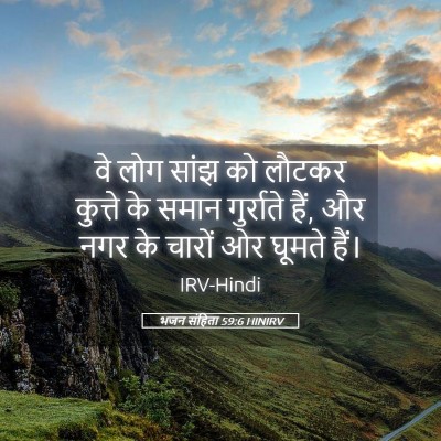 Picture 05 - भजन संहिता 59:6 HINIRV - वे लोग सांझ को - Bible Verse Picture