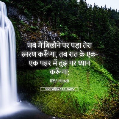 Picture 05 - भजन संहिता 63:6 HINIRV - जब मैं बिछौने पर - Bible Verse Picture