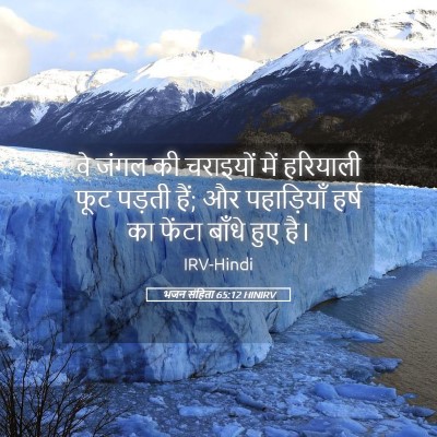 Picture 05 - भजन संहिता 65:12 HINIRV - वे जंगल की चराइयों - Bible Verse Picture