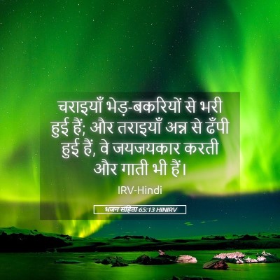 Picture 05 - भजन संहिता 65:13 HINIRV - चराइयाँ - Bible Verse Picture