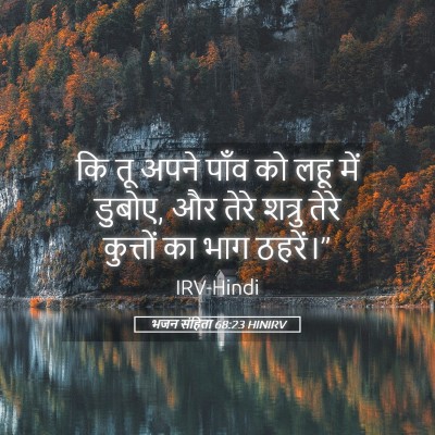 Picture 05 - भजन संहिता 68:23 HINIRV - कि तू अपने पाँव को - Bible Verse Picture