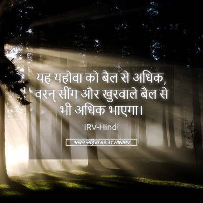 Picture 05 - भजन संहिता 69:31 HINIRV - यह यहोवा को बैल से - Bible Verse Picture