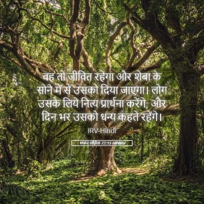 Picture 05 - भजन संहिता 72:15 HINIRV - वह तो जीवित रहेगा - Bible Verse Picture