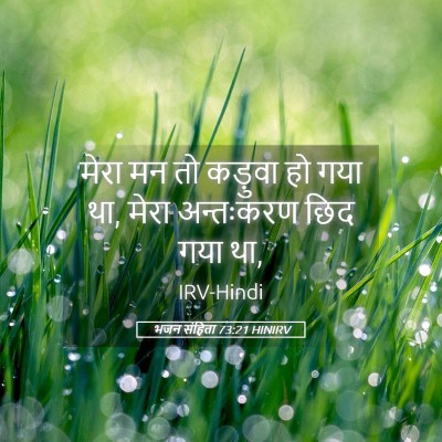 Picture 05 - भजन संहिता 73:21 HINIRV - मेरा मन तो कड़ुवा - Bible Verse Picture