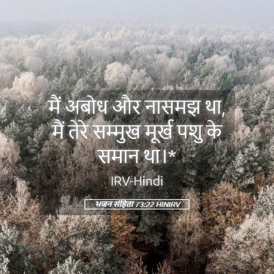 Picture 05 - भजन संहिता 73:22 HINIRV - मैं अबोध और नासमझ - Bible Verse Picture