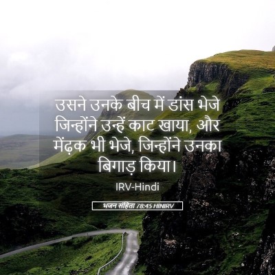 Picture 05 - भजन संहिता 78:45 HINIRV - उसने उनके बीच में - Bible Verse Picture