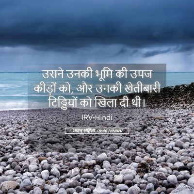 Picture 05 - भजन संहिता 78:46 HINIRV - उसने उनकी भूमि की - Bible Verse Picture