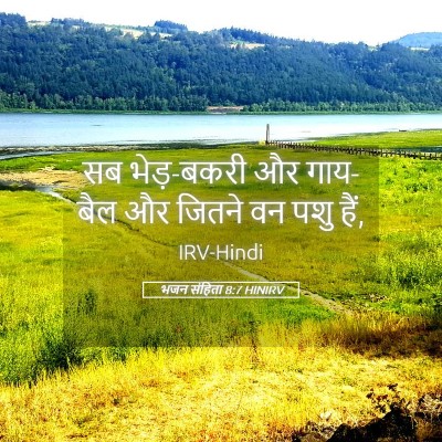 Picture 05 - भजन संहिता 8:7 HINIRV - सब भेड़-बकरी और - Bible Verse Picture