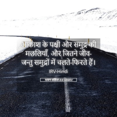 Picture 05 - भजन संहिता 8:8 HINIRV - आकाश के पक्षी और - Bible Verse Picture