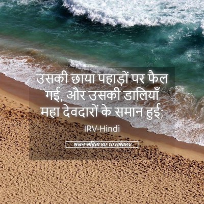 Picture 05 - भजन संहिता 80:10 HINIRV - उसकी छाया पहाड़ों - Bible Verse Picture