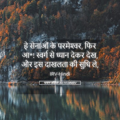 Picture 05 - भजन संहिता 80:14 HINIRV - हे सेनाओं के - Bible Verse Picture